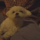 솔모루펜션 - 34946 | 솔모루펜션