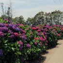 안성리-6 이미지