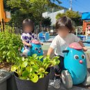 장평어린이집 이미지