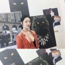 미아옹