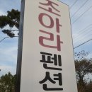 조아라팬션