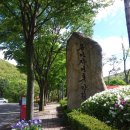 모현읍 다목적구장 이미지