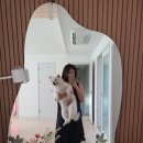 포레스트 명례 이미지