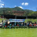 쏘가리네 이미지