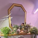 공감의뜰 | 영도체험 영도 데이트 영도가볼만한곳 브리사뜰 아로마 힐링