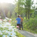의료법인명일의료재단 대정요양병원 네이버블로그