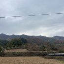 비에프짐(BFGYM) | [충북 충주 캠핑] 충주호 뻥뷰 단풍 속 조용한 캠핑장, 카이로스 캠핑장 D구역 후기