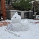 대왕오리 이미지