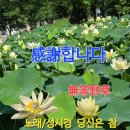 부용수지 네이버블로그