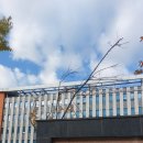 정태영 행정사 이미지