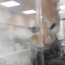 유앤아이동물병원 이미지