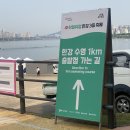 배영곡 | 한강 도강 1회차 후기