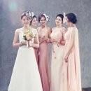 엠신디코리아 이미지