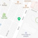 커들리 퍼피 창원강아지 분양 이미지