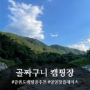 골짜구니펜션 | 강원도 캠핑장 추천, 아이 키우는 집에 딱! 골짜구니 캠핑장 리얼 후기