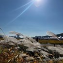 카페피씨후 석장점 | 용인 기흥 호수공원카페 호수앉기 뷰맛집