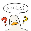 봉쥬르멍멍 이미지