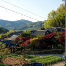 죽산상사 오마이뉴스