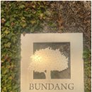 새나리로 | 분당 메모리얼 파크, 그리움이 깃든 숲에서 배운 삶의 가치