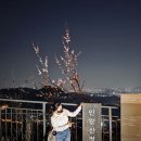 인왕산 평일 야등 코스, 등린이의 왕초보 야간등산 (경복궁역 1번 출구~더 숲 초소책방 코스)