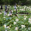 경포호(철새도래지) 티스토리