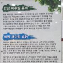 함평센터-11 | [함평여행ㅣ겨울휴가] 함평 돌머리해수찜 치유센터 사우나 예약 및 이용안내 해수찜 효능 내돈내산 후기