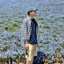 코키아빌딩 | 4월에 꼭 가야 할 도쿄 근교, 히타치 해변 공원 (내돈내산 클룩 투어 후기)