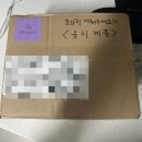 [내돈내산] 스테인드글라스 유리공예 돌고래 썬캐쳐 아기방 인테리어 아이템
