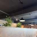 루체테 | 청주시내카페, 성안길카페 루체테커피 후기