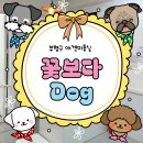 꽃보다 Dog | [ 인천 ] 부평 애견미용, 꽃보다 Dog