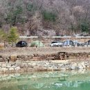 버드나무캠핑장 | Camping: 포천 울미숲오토캠핑장, 버드나무존 사이트 후기