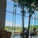 서천생태공원 | 서천 국립생태원 에코리움 체험 관 사막 동물 남극 펭귄