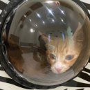 제이제이메디컬 이미지