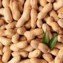 연식당 이미지