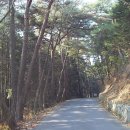 다솔사휴게소
