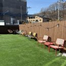 댕스라지 | 수지 애견카페 카페 댕스 후기｜강아지랑 편하게 놀기 좋은 곳