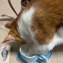 네버마인드Nvrmnd