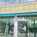 금아의수족 이미지