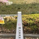 카페신 | 도쿄 전시 국립신미술관 & 카페 후기