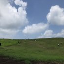 리틀스프링 스테이 이미지