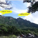 창녕제일주유소 Daum카페