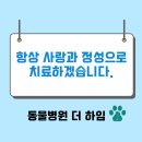수서동물병원 이미지