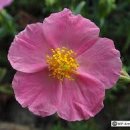 운중체육공원1 이미지