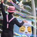 힐링버블 이미지