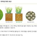 원타임 이미지