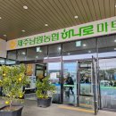 제주 남원농협 하나로마트 – 여행 중 신선한 감귤과 회를 만날 수 있는 제주 쇼핑 명소!