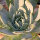 무부농장 이미지