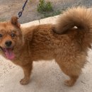 사산경로당 이미지