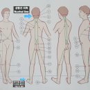 선아일랜드 이미지