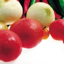 천북농장 이미지